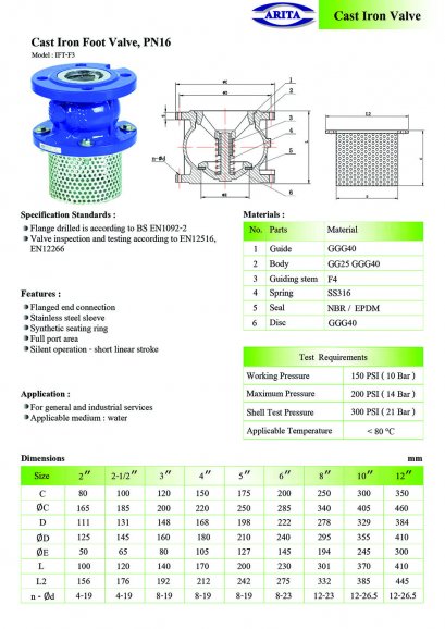 Cast Iron Foot Valve, PN16