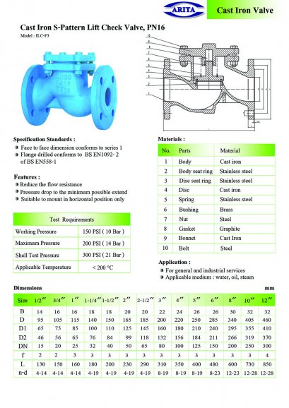 Cast Iron Lift Check Valve, PN16