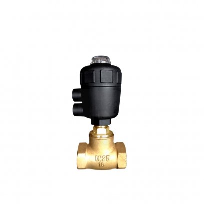 Piston Valve APK002