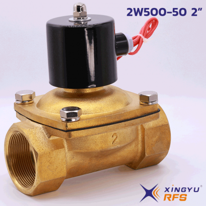 2W500-50 2&quot; solenoid valve