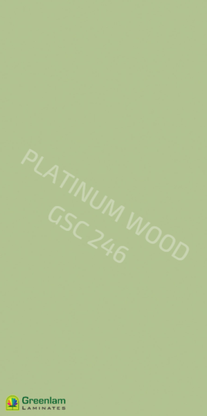GSC 246 - Pista