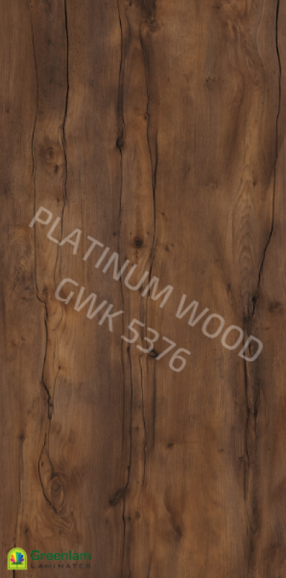 GWK 5376 - Texas Rodeo