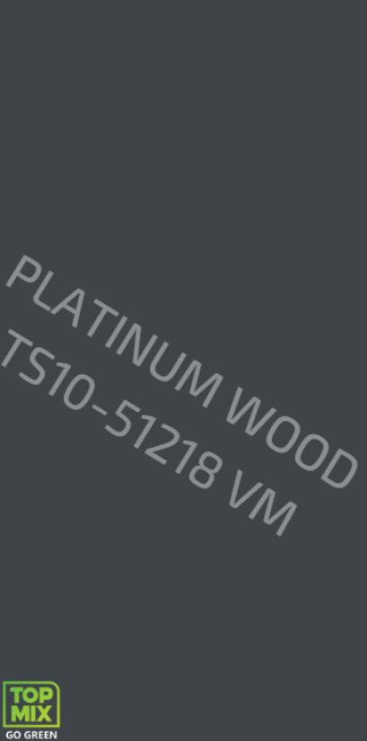 TS10-51218 VM CHARCOAL (4x10 Ft.)