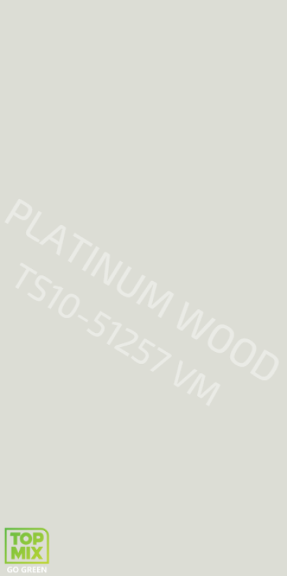 TS10-51257 VM LIGHT GREY (4x10 Ft.)