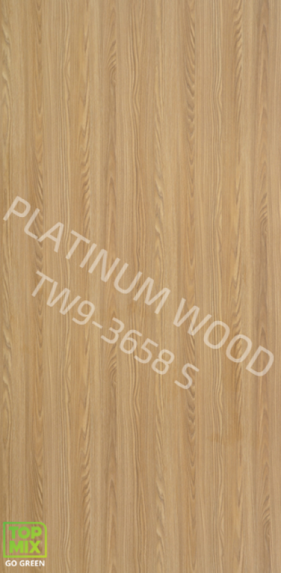 TW9-3658 S BOLIVIA ASH