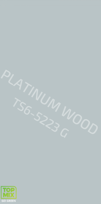 TS6-5223 G GAINSBORO GREY