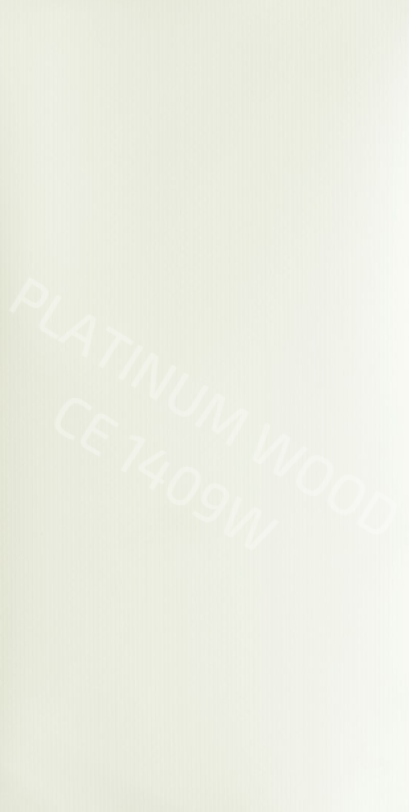 CE 1409 S Frosty White