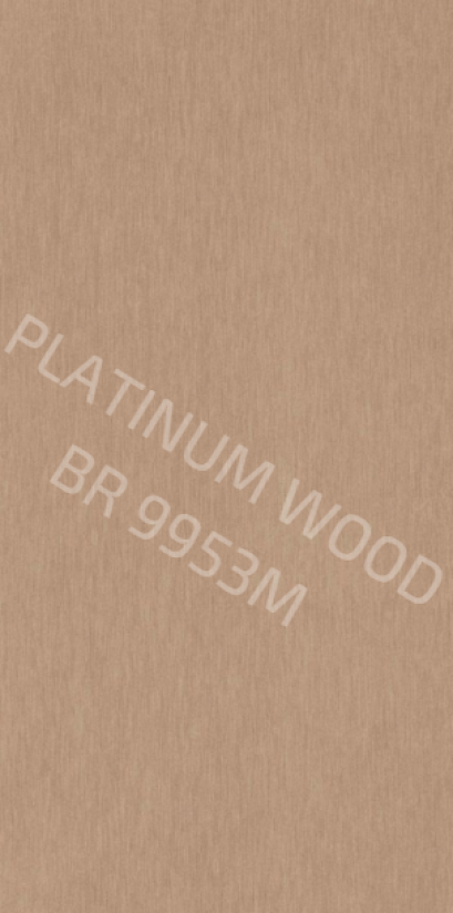 BR 9953 M Bronze Brushed