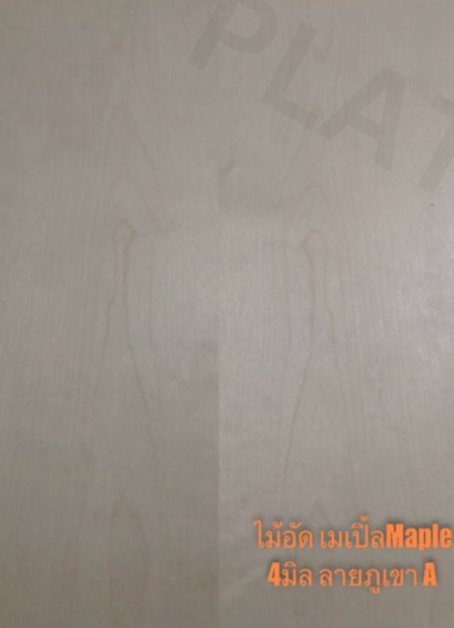 ไม้อัดเมเปิ้ล (Maple Plywood)