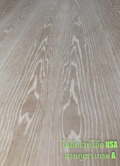 ไม้อัดไวท์โอ๊ค (White Oak Plywood)