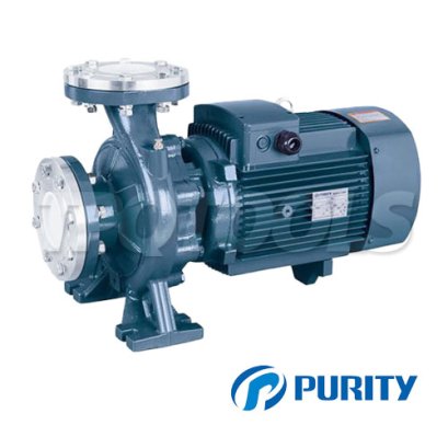"PURITY" PW100-125/75 ปั๊มน้ำหอยโข่งหน้าแปลนใบพัดเดียว ท่อ 4 นิ้ว 10 แรง 380V