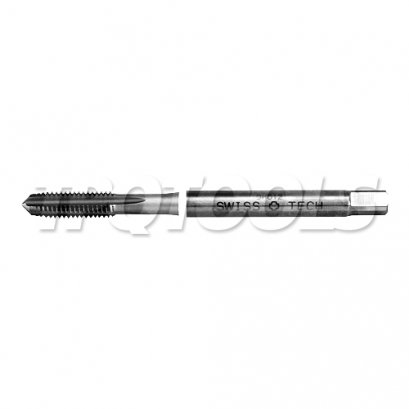 ดอกต๊าปเกลียว