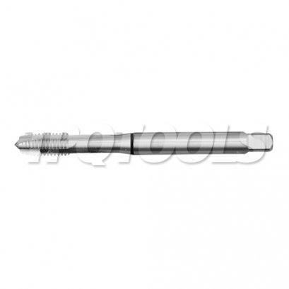 ดอกต๊าปเกลียว