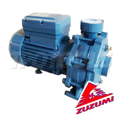 2TCP25/160A 220V ปั๊มน้ำหอยโข่งไฟฟ้า 2 ใบพัด 2200W ZUZUMI