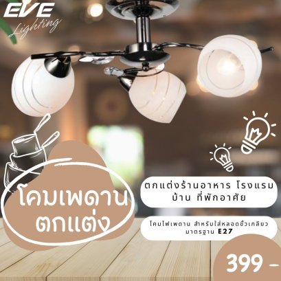 โคมเพดานตกแต่ง เก๋ไก๋ โคมแต่งบ้าน โคมไฟราคาถูก ลดราคา โคมไฟราคาพิเศษ สินค้าราคาพิเศษ