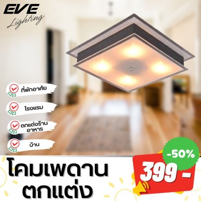 โคมเพดานตกแต่ง เก๋ไก๋ โคมแต่งบ้าน โคมไฟราคาถูก ลดราคา โคมไฟราคาพิเศษ สินค้าราคาพิเศษ