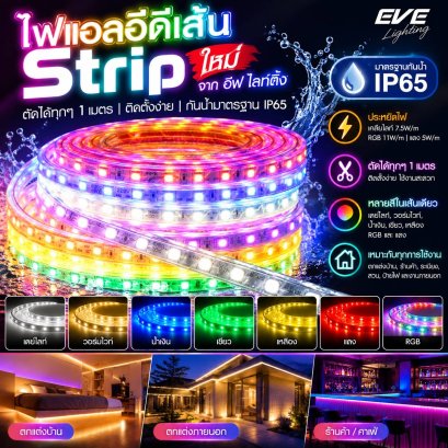 ไฟเส้นแอลอีดี 50 เมตร SMD 5050 ขนาด 6w/เมตร IP65 กันน้ำ 220V ติดตั้งง่าย มีปลั๊กเสียบเข้ากับไฟบ้านได้เลย มี 7 สี แดง เขียว เหลือง น้ำเงิน ชมพู แสงขาว และแสงเหลืองวอร์มไวท์ LED Strips SMD 5050 Tint 6W/M IP65 220V 50M