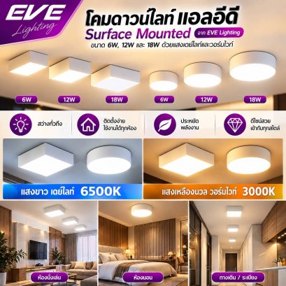 โคมดาวน์ไลท์แอลอีดี ติดลอย หน้ากลม หน้าเหลี่ยม ขนาด 6, 12, 18 วัตต์ แสงวอร์มไวท์ LED Surface Mounted Circle, Square 6, 12, 18W