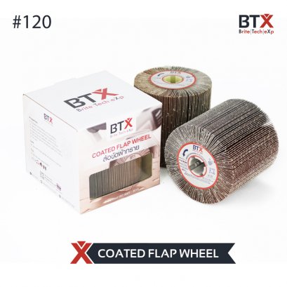 Coated Flap Wheel (#120)