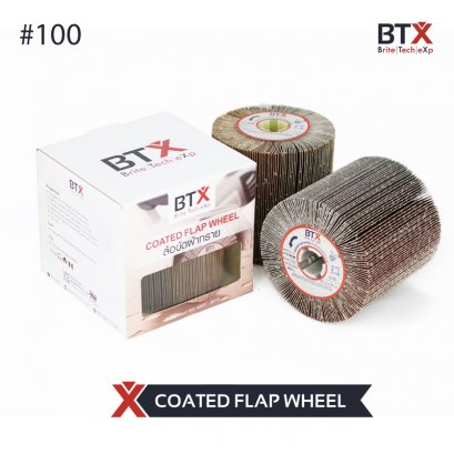 Coated Flap Wheel (#100)