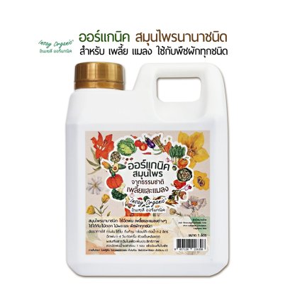 สารกำจัดเพลี้ยกำจัดแมลงกำจัดหนอนINSAY ORGANIC