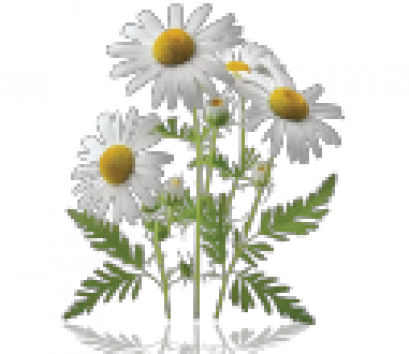 Aquaporin Protect SPF50 PA++