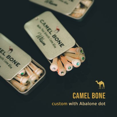 Camel Bridge Pins Guitar Custom บริดพินกีตาร์กระดูกอูฐ Abalone Dot Inlay