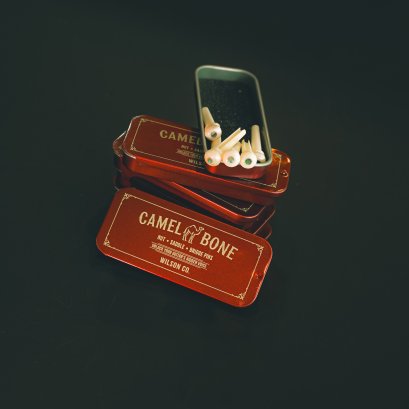 Camel Bridge Pins Guitar Custom บริดพินกีตาร์กระดูกอูฐ Abalone Dot Inlay