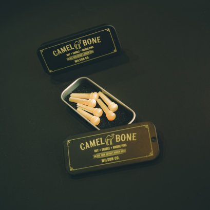 Camel Bridge Pins Guitar Standard บริดพินกีตาร์กระดูกอูฐ (no dot inlay)