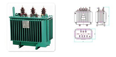 22KV, 24KV, 12/24KV 3 Phase System Standard Oil Immersed Transformer (Hermetically sealed type)