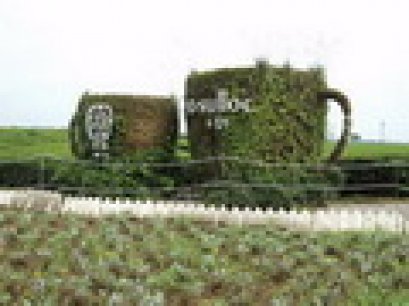 O'Sulloc Tea Museum, Jeju, Korea