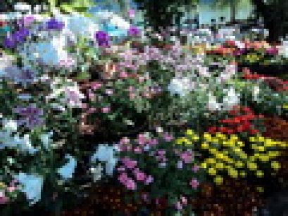 รีวิวทริปเชียงใหม่รับลมหนาว