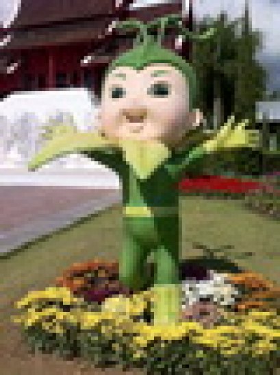 ราชพฤกษ์+งานบอลลูนนานาชาติ 2554