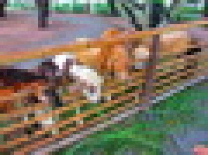 Black Sheep Farm Hua Hin