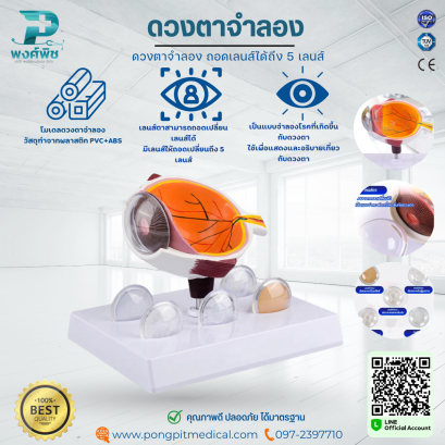 ดวงตาจำลอง ถอดเลนส์ได้ถึง 5 เลนส์