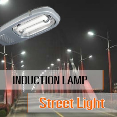 Induction Lamp Street Light