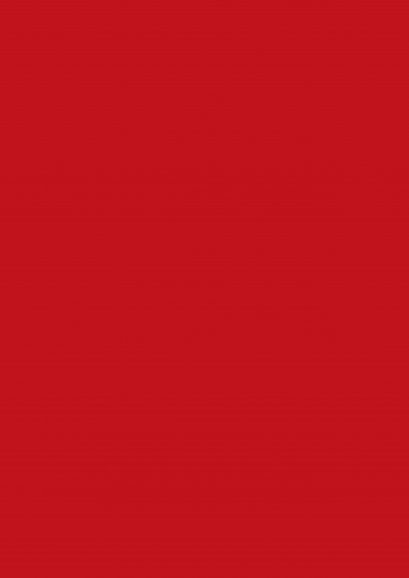 ลามิเนตปิดผิว Duropal