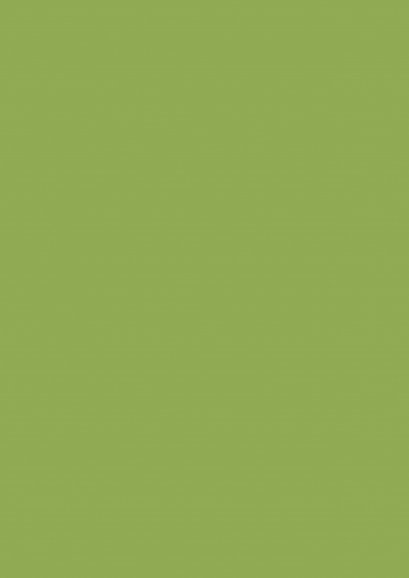 ลามิเนตปิดผิว Duropal