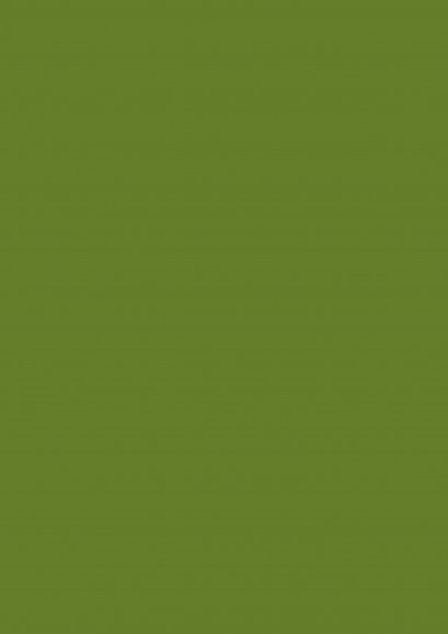 ลามิเนตปิดผิว Duropal