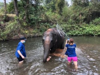 One Day Elephant Sanctuary  + Doi Inthanon  Hiking