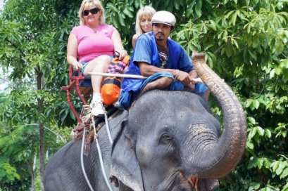 Elephant Trekking 30 minutes