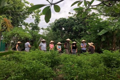 泰式烹饪课程（整天学做泰国菜） Asia Scenic Thai Cooking School（在农场里）