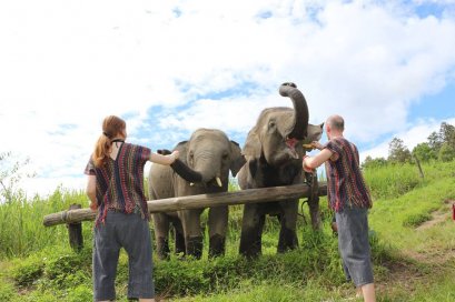 One Day Chiang Mai Elephant Legend