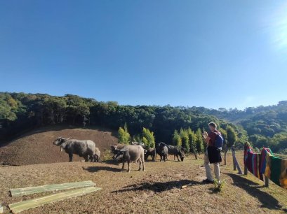 1 Day Trek At Chiang Mai Trekking Center