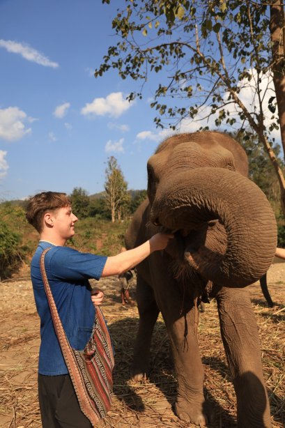 เลี้ยงช้างครึ่งวัน Living Green Elephant Sanctuary
