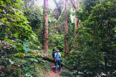 One Day Doi Suthep Temple & Monthathan Waterfall Trekking