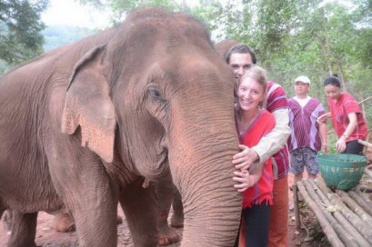 Half Day Morning Elephant Jungle Paradise Park