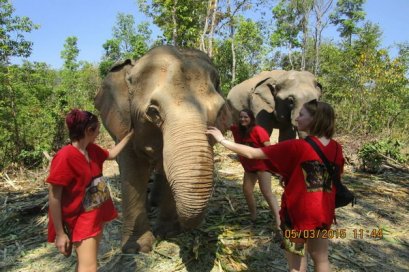ดูแลช้างเต็มวัน (ไม่มีขี่ช้าง) Elephant Jungle Sanctuary