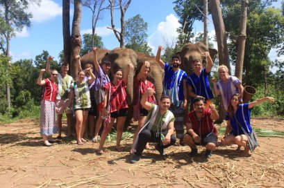 Half Day Morning Elephant Village Sanctuary