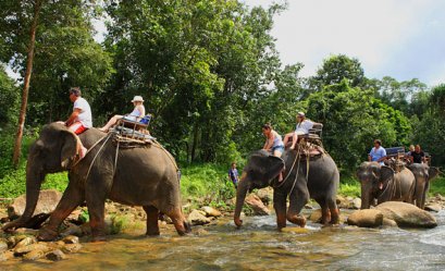 Elephant Trekking &amp; Waterfall